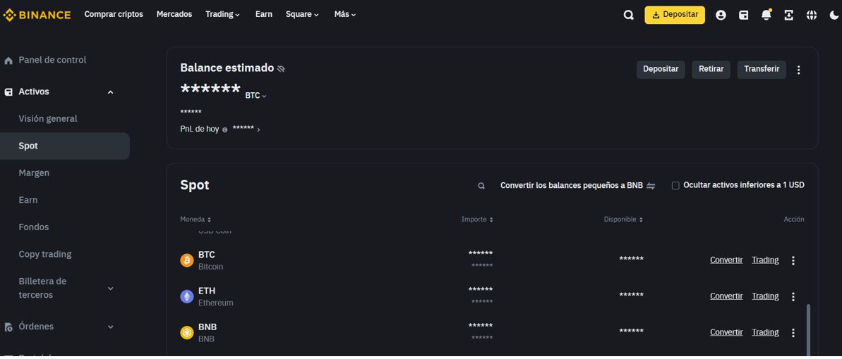 binance-spot-ver