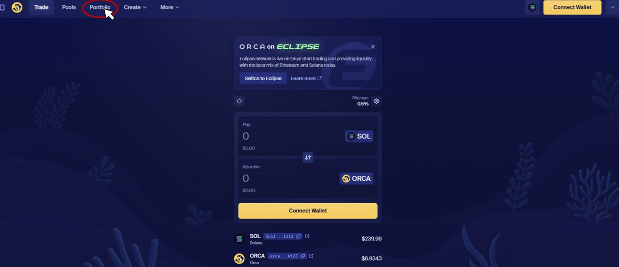 pool-liquidez-orca-portfolio